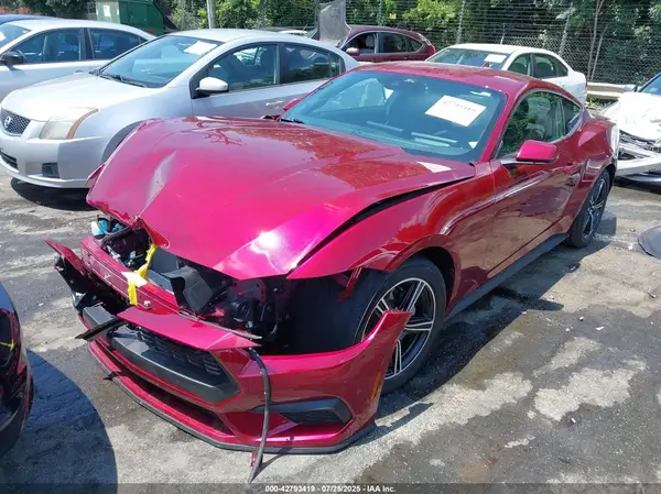 1FA6P8TH1S5120519 2025 FORD MUSTANG - Image 2