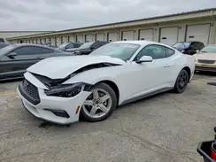 1FA6P8TH1T5112485 2026 FORD MUSTANG