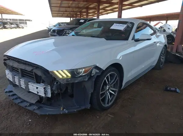 1FA6P8TH2G5206428 2016 FORD MUSTANG - Image 2