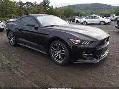 1FA6P8TH2G5229238 2016 FORD MUSTANG