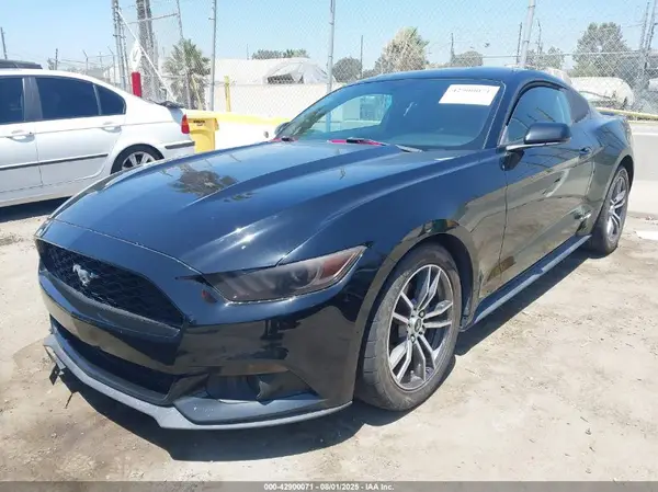 1FA6P8TH2H5291756 2017 FORD MUSTANG - Image 2