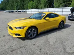1FA6P8TH2H5296181 2017 FORD MUSTANG