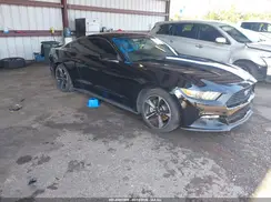 1FA6P8TH2H5310516 2017 FORD MUSTANG