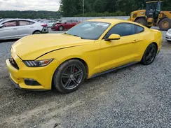 1FA6P8TH2H5313156 2017 FORD MUSTANG