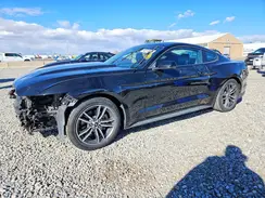 1FA6P8TH2H5344486 2017 FORD MUSTANG