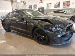 1FA6P8TH2K5102823 2019 FORD MUSTANG