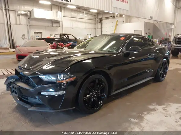 1FA6P8TH2K5102823 2019 FORD MUSTANG - Image 2