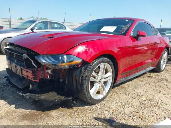 1FA6P8TH2K5116639 2019 FORD MUSTANG - Image 2