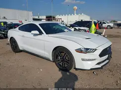 1FA6P8TH2K5117984 2019 FORD MUSTANG