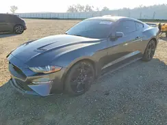 1FA6P8TH2K5135577 2019 FORD MUSTANG
