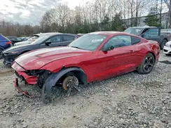 1FA6P8TH2K5141136 2019 FORD MUSTANG