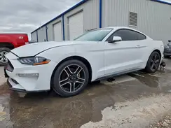 1FA6P8TH2K5143033 2019 FORD MUSTANG
