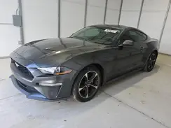 1FA6P8TH2K5146627 2019 FORD MUSTANG