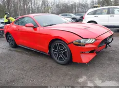 1FA6P8TH2K5161094 2019 FORD MUSTANG