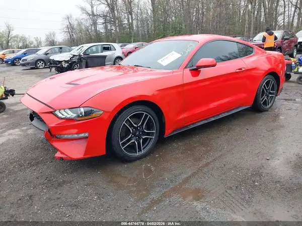1FA6P8TH2K5161094 2019 FORD MUSTANG - Image 2