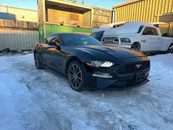 1FA6P8TH2K5162598 2019 FORD MUSTANG