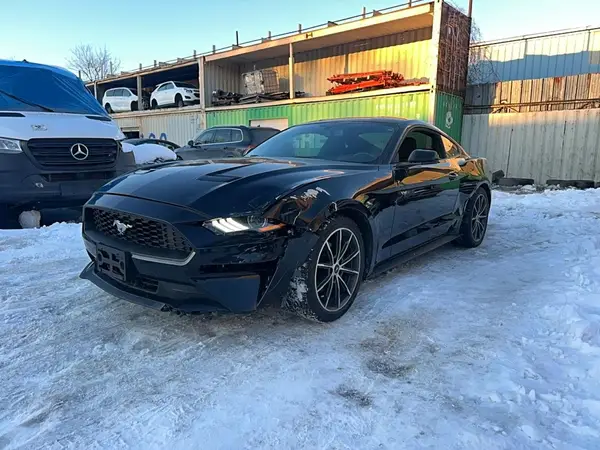 1FA6P8TH2K5162598 2019 FORD MUSTANG - Image 2