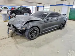 1FA6P8TH2K5172077 2019 FORD MUSTANG