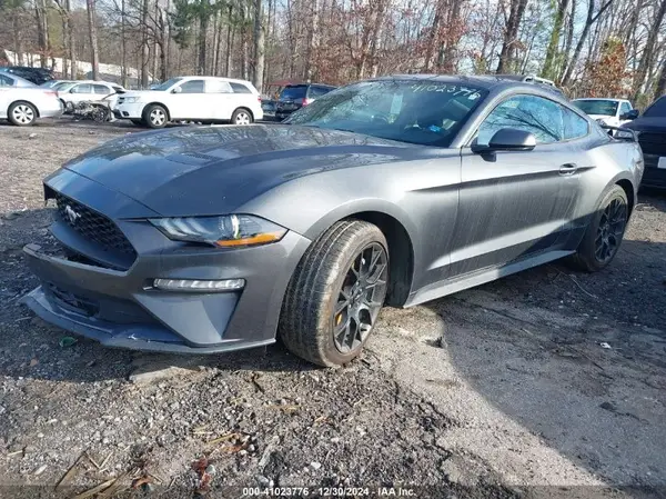 1FA6P8TH2K5173553 2019 FORD MUSTANG - Image 2