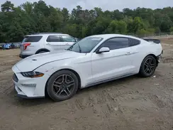 1FA6P8TH2K5186464 2019 FORD MUSTANG