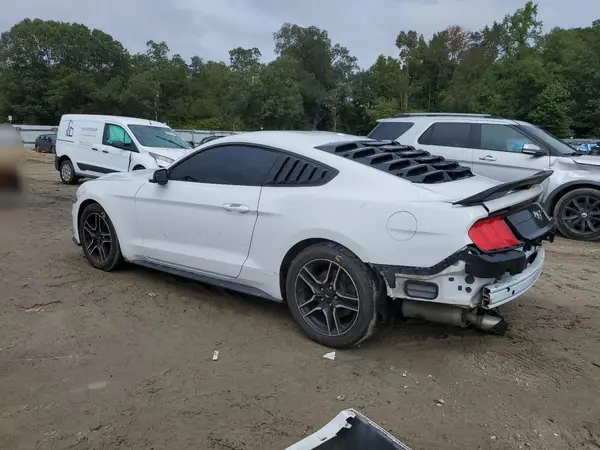 1FA6P8TH2K5186464 2019 FORD MUSTANG - Image 2