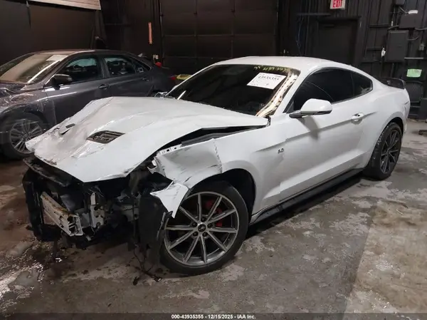 1FA6P8TH2K5188666 2019 FORD MUSTANG - Image 2