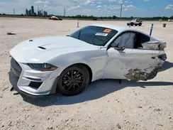 1FA6P8TH2K5192524 2019 FORD MUSTANG