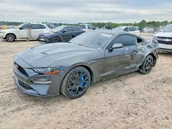 1FA6P8TH2K5192717 2019 FORD MUSTANG