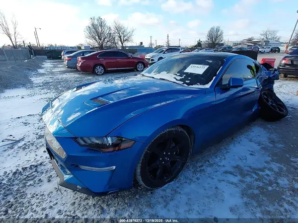 1FA6P8TH2K5192877 2019 FORD MUSTANG - Image 2