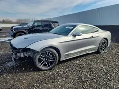 1FA6P8TH2L5135953 2020 FORD MUSTANG