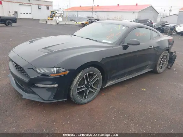 1FA6P8TH2L5142448 2020 FORD MUSTANG - Image 2