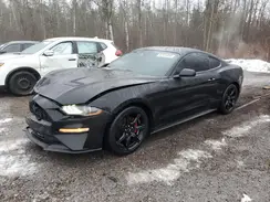 1FA6P8TH2L5159007 2020 FORD MUSTANG