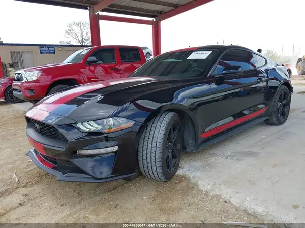 1FA6P8TH2M5117342 2021 FORD MUSTANG - Image 2