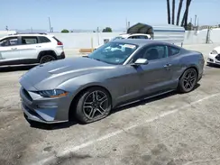 1FA6P8TH2M5127983 2021 FORD MUSTANG