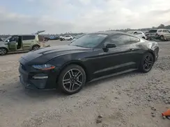1FA6P8TH2P5104093 2023 FORD MUSTANG