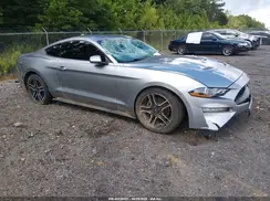 1FA6P8TH2P5105499 2023 FORD MUSTANG