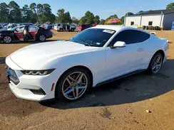 1FA6P8TH2R5102637 2024 FORD MUSTANG
