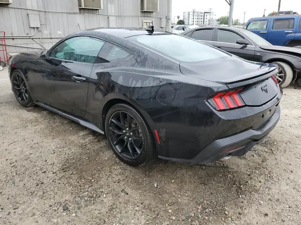1FA6P8TH2R5103951 2024 FORD MUSTANG - Image 2