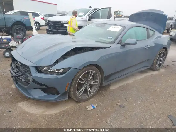 1FA6P8TH2R5105358 2024 FORD MUSTANG - Image 2
