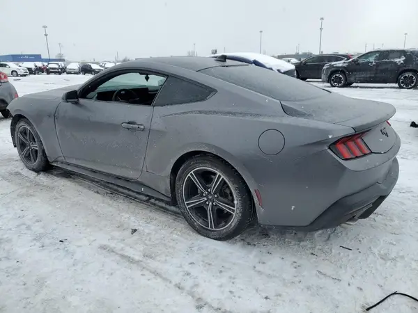 1FA6P8TH2R5111225 2024 FORD MUSTANG - Image 2