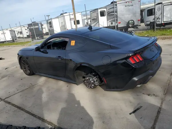 1FA6P8TH2R5117526 2024 FORD MUSTANG - Image 2