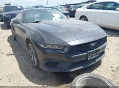 1FA6P8TH2R5118157 2024 FORD MUSTANG