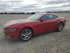 1FA6P8TH2R5118823 2024 FORD MUSTANG