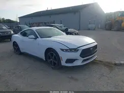 1FA6P8TH2R5120975 2024 FORD MUSTANG