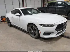 1FA6P8TH2R5127215 2024 FORD MUSTANG