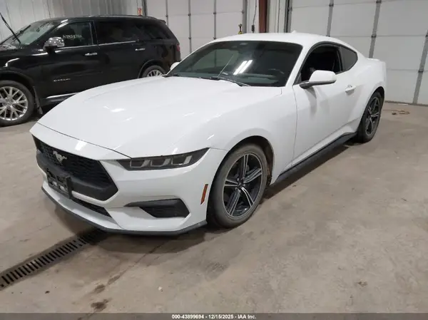 1FA6P8TH2R5127215 2024 FORD MUSTANG - Image 2