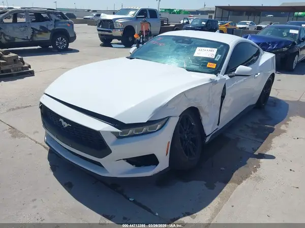 1FA6P8TH2R5130941 2024 FORD MUSTANG - Image 2