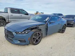 1FA6P8TH2R5131765 2024 FORD MUSTANG