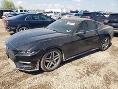 1FA6P8TH2R5134469 2024 FORD MUSTANG
