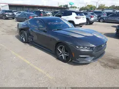 1FA6P8TH2R5134536 2024 FORD MUSTANG